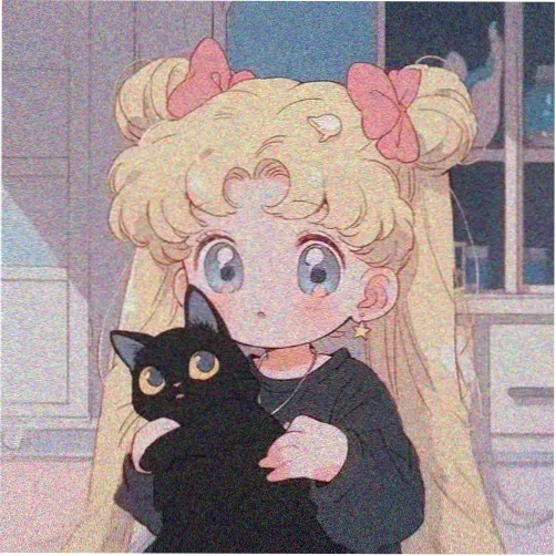 朴赞郁